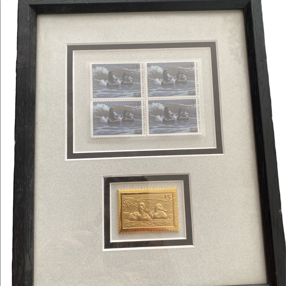 8x10 ducks unlimited stamp collectors photo and gold stamp in one frame